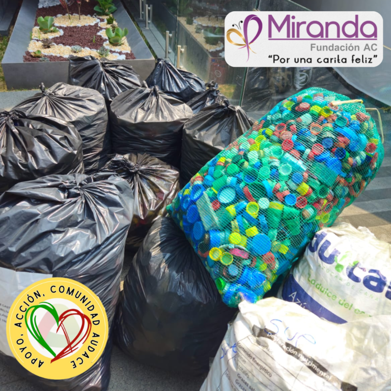 Fundación Miranda